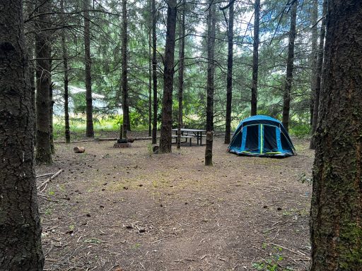 Blue tent set up in wooded area with tall trees